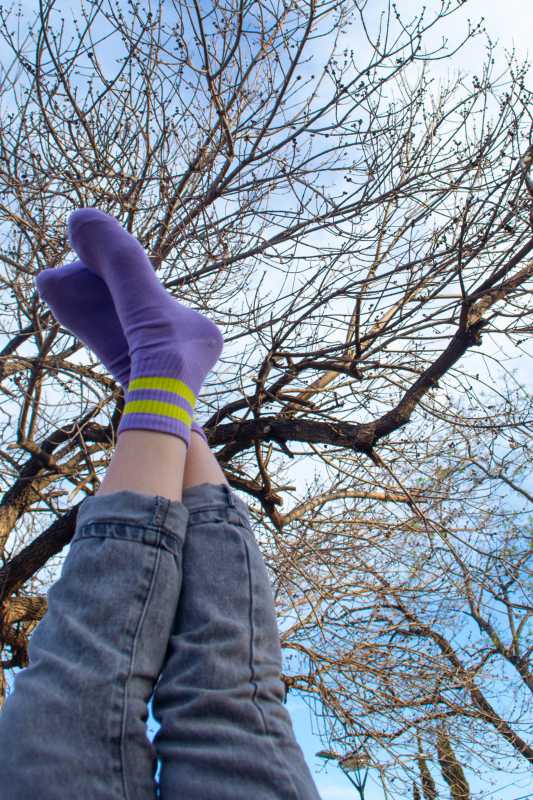 Tenis Entrelazando Colores - Lila Lima miniatura 1