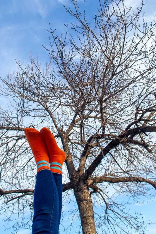 Tenis Entrelazando Colores - Naranja Celeste - imagen 1